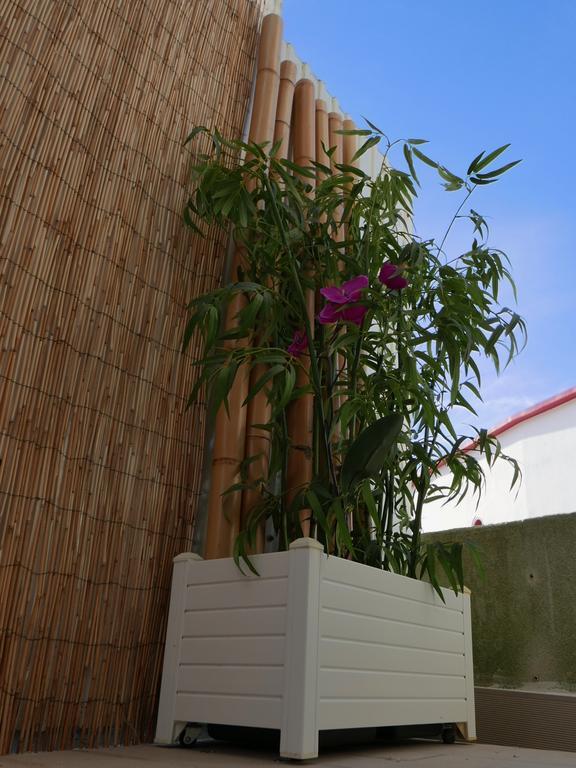 Casa Do Cabeta Βίλα Ναζαρέ Εξωτερικό φωτογραφία